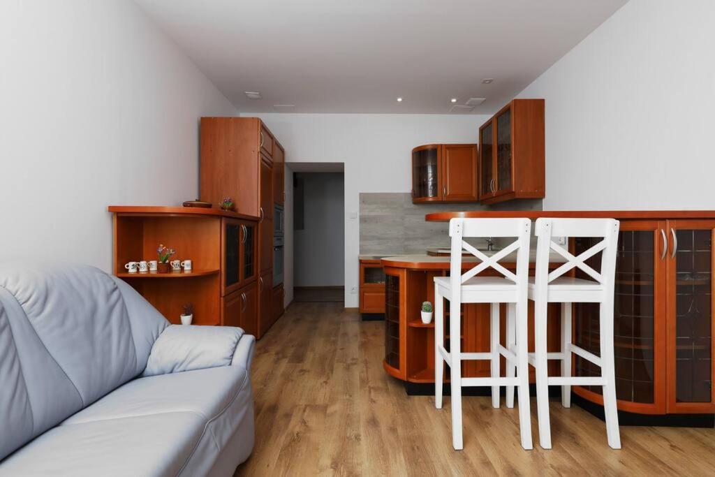 Przyjazny Apartament W Bedzinie 외부 사진
